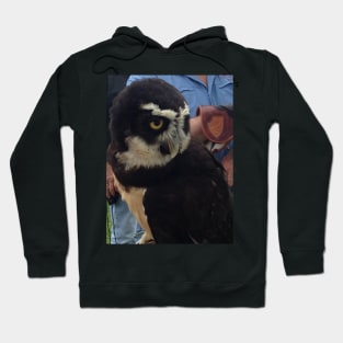 Spectacled Owl Hoodie